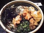一滴八銭屋_かしわ天ぶっかけうどん_20060512.jpg